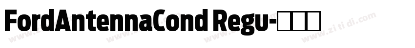 FordAntennaCond Regu字体转换